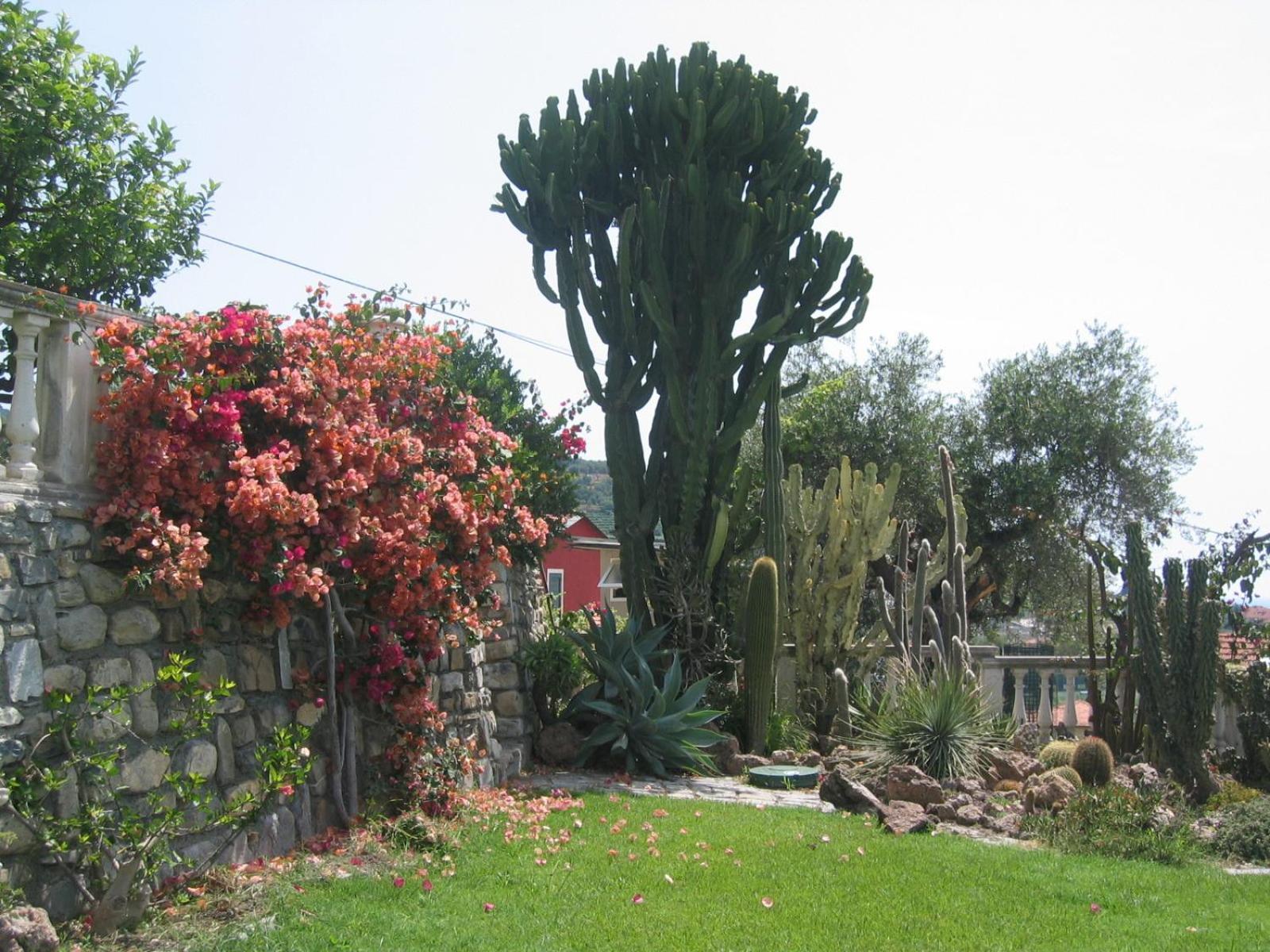 Ca Dei Conti Villa San Bartolomeo Al Mare Værelse billede
